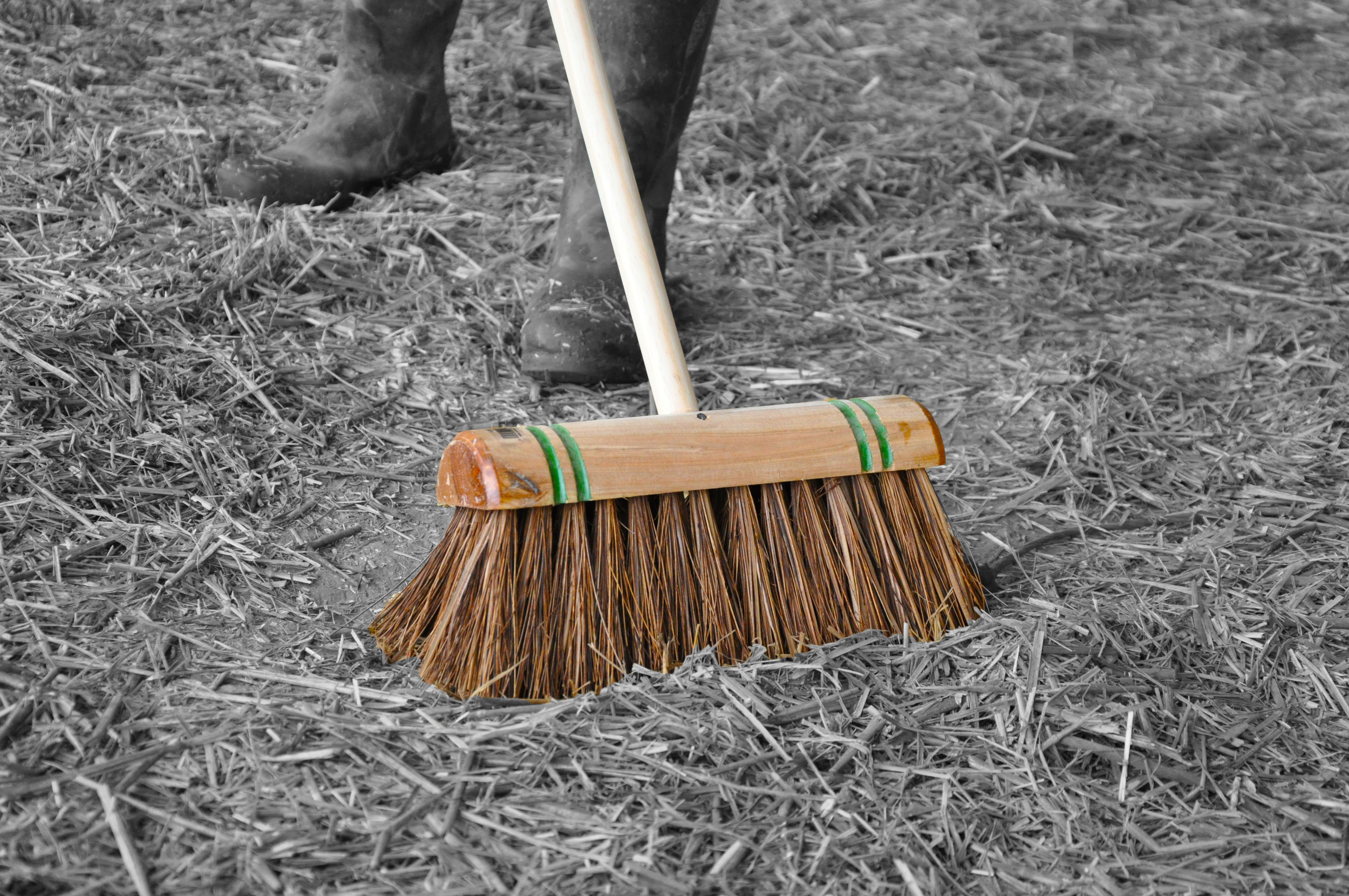 Built for the British Countryside: Hillbrush's Premier Brushes for Equestrian and Agricultural Needs